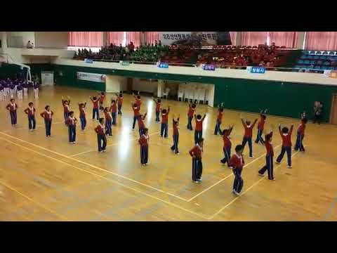 2015경상남도대항 실버건강체조 대상 (2015.4.8)
