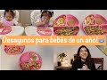 Desayunos rápidos, fáciles y nutritivos para bebés de un año! 🥣