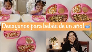 Desayunos rápidos, fáciles y nutritivos para bebés de un año!