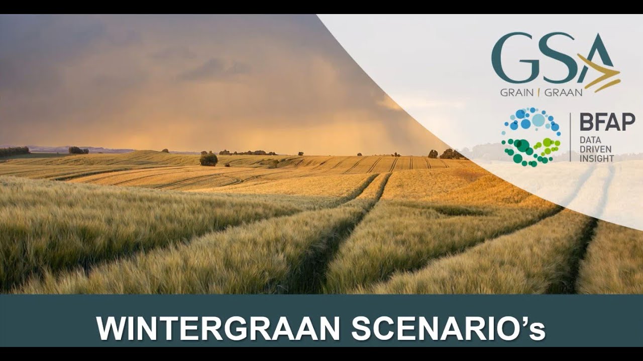 BFAP Wintergraan-scenario Beplanning Mrt 2025