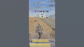 From Revival Flight to Revenge Wipe!🤯