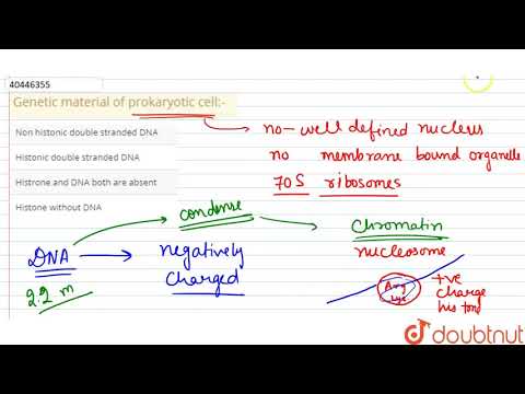वीडियो: प्रोकैरियोटिक कोशिका में जीन कहाँ स्थित हो सकते हैं?