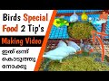 Birds Special Food Making Video | How to Feed New Food for Fiches & Love Birds | MY PET PLANT