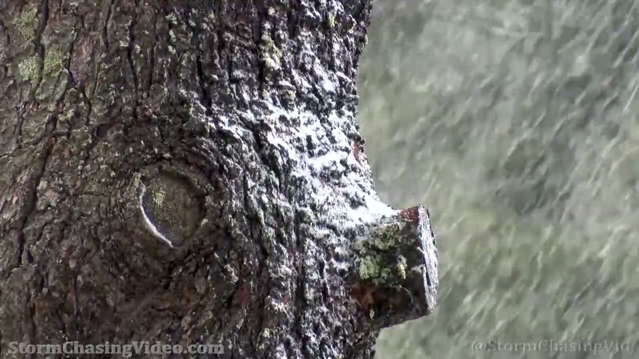 Late Season Snow Falls On  Barron County, WI - 4/6/2022
