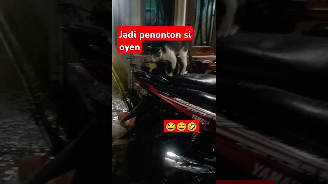 teman tidak ada akhlak😂😅🤣