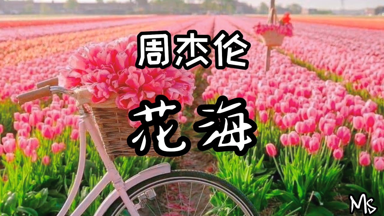 花海 周杰伦 歌词拼音 不要你离开距离隔不开思念变成海在窗外进不来 Youtube