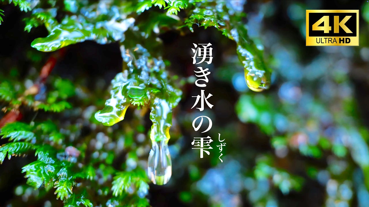 【自然の音】湧き水の雫 3時間 4K nature sounds ASMR