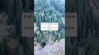 #стихи #смыслжизни #философия #любовь #мотивациядня #вдохновение #душа #мысливслух #стихидлядуши