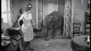 Lassie - Episode #208 - "The Elephant" - Season 6 Ep. 26 - 06/06/1960
