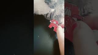 Alphabet Lore A X I But I Want Something...