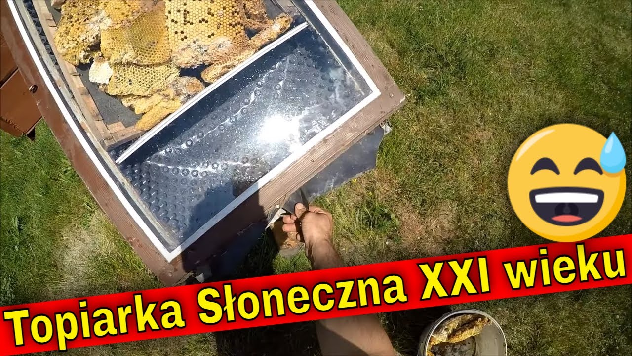 Kozy Zeżarły mi Ogród! | Jak zrobić Topiarkę Słoneczną do Wosku Pszczelego w 5 minut?