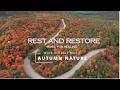 Peaceful Fall 🍁 | Relaxing Music to Unwind &amp; Heal