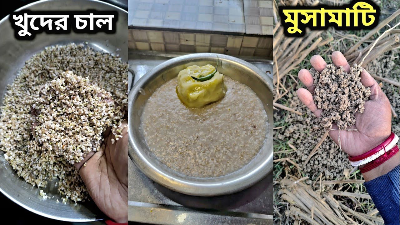 দুপুরে খুদের চালের ভাত খেয়ে বিকেলে মাঠে গেলাম মাটা আনতে🧿 