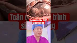 Toàn cảnh quá trình sinh thường