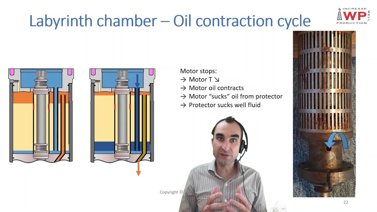 ESP protector labyrinth chamber