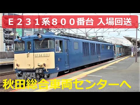 E231 series 800, model No.800s "Mitsu K3 formation" forwarded to Akita Rolling Stock Center!