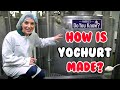 How is Yoghurt made? 🥣 Maddie's Do You Know? 👩
