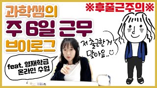 토요일 학교 간 사람? 나야 나(온라인수업/교사브이로그/영재수업/과학교사)