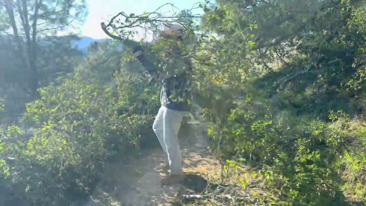 Episode 2: Flex the Abs!