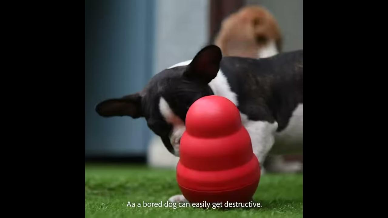 Kong wobbler treat dispensing dog toy It's awesome toy to keep