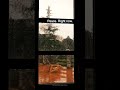 Mansion Thunderstorm — Stop Scrolling #shorts