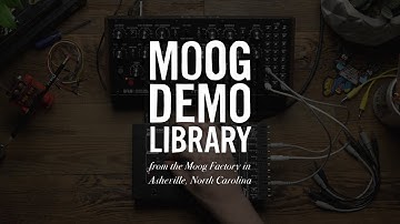 Werkstatt-01 | Using Werkstatt for Melody Duties with DFAM