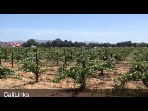 V Sattui Winery