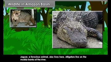 Human Environment Interactions   I CLASS 7TH SOCIAL SCIENCE