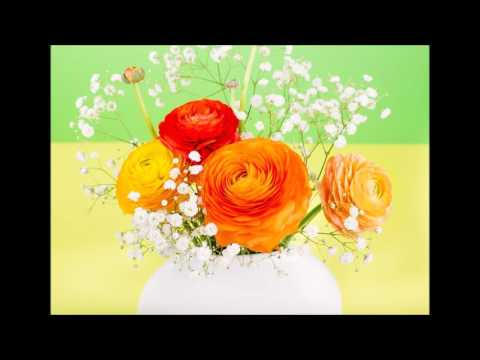 Joe Dassin Si Tu T Appelles Melancolie