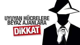 Abdurrahman Dilipak    FETÖ’cülerle mücadelede bir başka handikap!