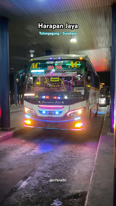 Ada yang pernah naik bus Harapan Jaya ini? 😁 #harapanjaya #videobus #bismania