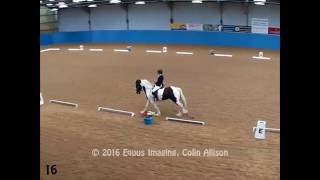 Class 7, Freestyle to Music - Novice