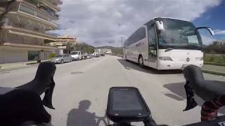 dog attack