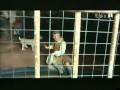 Capture de la vidéo Davide Van De Sfroos   Il Sapore Della Lucertola