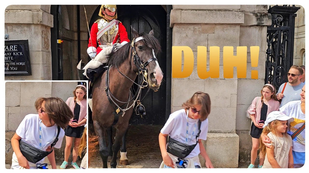 CLUELESS Kids Ignore The Guard and Get Charged by the Horse!