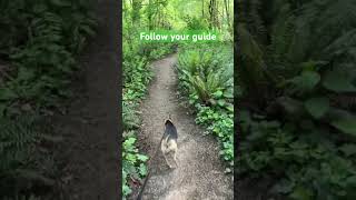 30s Soul Reset 🍃 Enchanted Journey