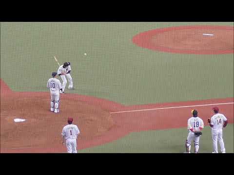 【甲斐拓也】 シートノックのキャッチャーフライをほとんど動かずキャッチしちゃうｗ