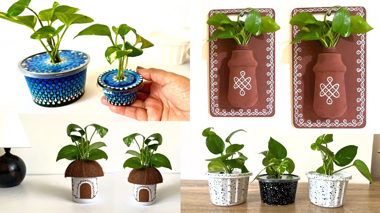 3 Indoor money plant decoration ideas मनी प्लांट की आसान सजावट Easy money plant decoration