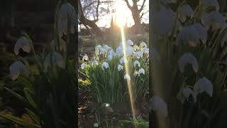 Spring is right around the corner ☺️