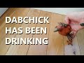 Beginning of video
