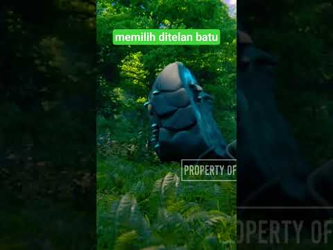Ibu ini memilih ditelan batu karena anaknya durhaka