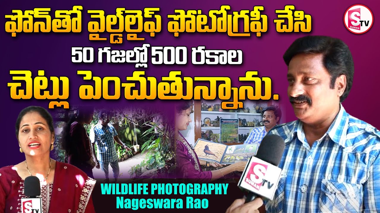 Pet park in Warangal Park For Pet Dogs Anchor Nirupama SumanTv