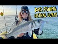 Uk bass fishing in a rib  lethal lures uk  includes how to set up guide fishing boatfishing