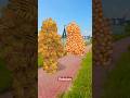 Satisfying video special effects #shorts #satisfyingvideo #specialeffects #3danimation #satisfying
