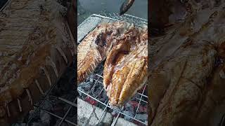 Bakar ikan hasil mancing #asalmancingiwak #mancing #bakarikan