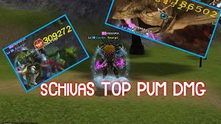 TOP PVM DMG  -  sChivaS KIRIN  METIN2