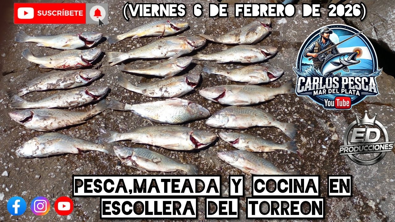 PESCA,MATEADA Y COCINA EN ESCOLLERA DEL TORREON (Viernes 6 de febrero de 2026)