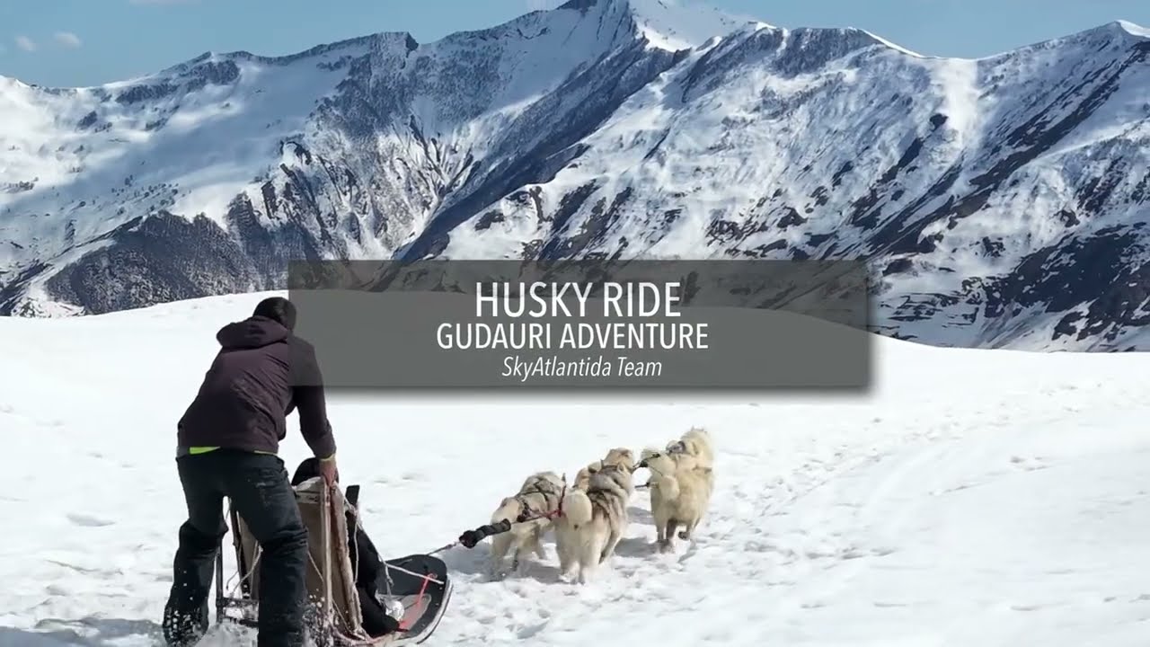 Husky ride in Gudauri — video preview