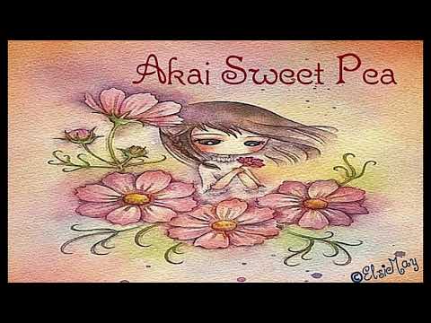 赤いスイートピー Akai Sweet Pea  by Matsuda Seiko 松田聖子  (1982)