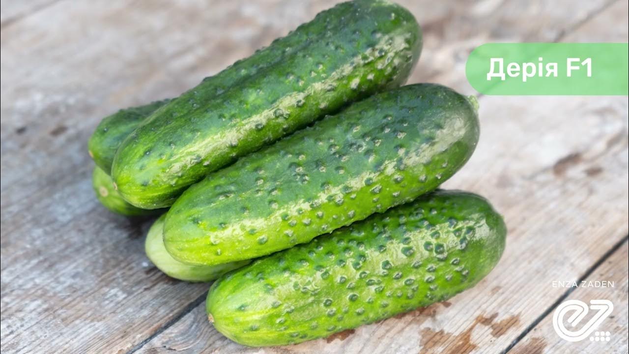 Огурец 1 см. Огурец 1 см